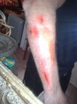 2012-04-14 14.46.56.jpg
