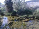 2012-04-14 10.12.45.jpg