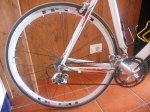 DSCN9516.JPG