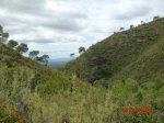 CIMG1369 (Copiar).jpg