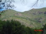 CIMG1377 (Copiar).jpg