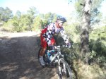 SAM_0956.JPG