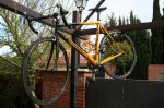 cannondale caad 31.JPG