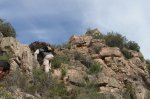 SAM_1731 (Copiar).jpg