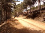 Foto0215.jpg