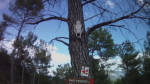 vlcsnap-2012-04-16-19h30m59s247 [640x480].png