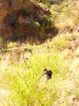 DSCN2970.jpg