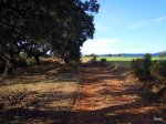 DSCN1518.JPG