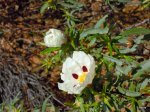 DSCN1538.JPG