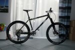 large_RagleyMarzocchi.jpg