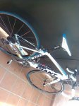 Imagen0603.jpg