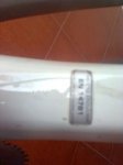 Imagen0605.jpg