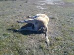 IMG-20120218-WA0006.jpg