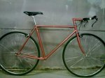 bici1.jpg