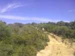 170420121095r.jpg