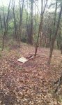 IMG-20120417-WA0005.jpg