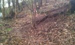 IMG-20120417-WA0006.jpg