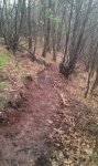 IMG-20120417-WA0007.jpg