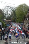 pic104622216_600.jpg