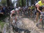 ParisRoubaix_VeloPress_BobRoll-vi[1].jpg