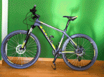 Scaled Image 1.gif