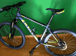 Scaled Image 2.gif
