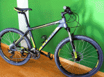 Scaled Image 3.gif