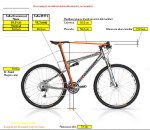 talla bikenoob.jpg