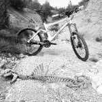 La senda de la muerte.jpg