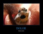 CR_430602_dolor.jpg