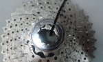20120419_094943.jpg