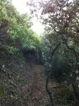 IMG-20120419-WA0002.jpg