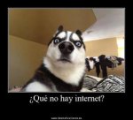 internet.jpg