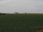 lrg-3812-cimg0738.jpg