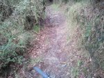 2012-04-19 18.32.50.jpg