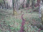 2012-04-19 18.48.19.jpg