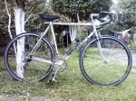 ALAN bici.jpg