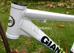 giant 2.jpg