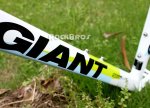 giant 3.jpg