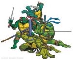tortugas.jpg