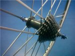 IMG00316-20120407-1508.jpg