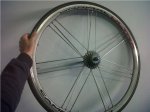 IMG00317-20120407-1508.jpg