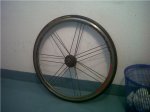 IMG00318-20120407-1509.jpg