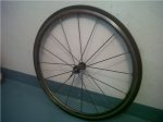 IMG00319-20120407-1509.jpg