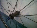 IMG00320-20120407-1509.jpg