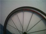 IMG00321-20120407-1509.jpg
