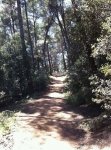 IMG_0677.JPG