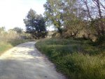 Imagen0981.jpg