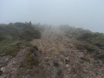 DSC05772Copiar.jpg