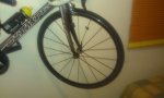 IMAG0220.jpg